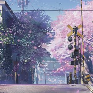 噢美黄色，55555555
